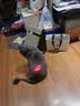 魔铁（MOTIE）M604逗猫激光笔充电激光灯猫玩具猫咪红外线激光笔逗猫棒红白紫三色光源多功能照猫廯猫尿 实拍图