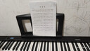 特伦斯折叠钢琴88键电子琴儿童成人电子钢琴专业演奏智能便携式电钢X88C 实拍图