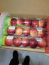 乐淇（ROCKIT）新西兰火箭筒苹果 3筒装单筒245g起 5粒/筒 生鲜水果礼盒 实拍图
