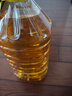 鲁花  食用油 压榨特香非转基因玉米胚芽油5L 实拍图