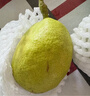 京鲜生 新疆库尔勒香梨 净重5斤 一级 单果100g-120g  生鲜水果 实拍图