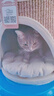 兽牌树洞剑麻桶猫窝猫抓板一体剑麻猫爬架双层大猫屋半封闭式冬季保暖 砂砾灰丨双层剑麻桶 实拍图