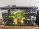 米家（MIJIA）智能生态鱼缸定时喂食智能鱼缸+画法几何增氧泵套装 实拍图