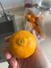 正宗无籽蜜橘酸甜可口新鲜薄皮蜜桔当季早熟水果 带箱2斤装 实拍图