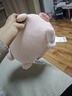 名创优品（MINISO）小猪B-BO系列-草莓趴姿毛绒公仔儿童玩具玩偶抱枕靠枕生日礼物女 实拍图