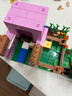 乐高（LEGO）积木拼装我的世界21268 猪宝宝房屋男孩女孩儿童玩具生日圣诞礼物 实拍图
