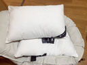洁丽雅（Grace）枕头枕芯A类酒店星级加厚锦丝绸羽丝绒枕舒睡枕48*72cm 单只装 白 实拍图