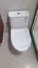 九牧（JOMOO）11173-2-1/31KD-3大力神家用马桶虹吸抗菌节水洁具305坑距 实拍图