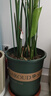 墨斗鱼花盆加仑盆高款6加仑*2加厚兰花发财树盆栽树脂塑料简约带托盘 实拍图