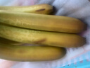佳农 进口大把香蕉净重2.4斤 家庭装 生鲜水果 源头直发 包邮 实拍图