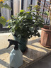 安赛瑞 喷壶 家用浇花养花植物浇水喷雾器 按压式园艺洒水神器 5J00804 实拍图
