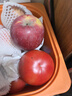 京鲜生 山东普罗旺斯西红柿 净重4.5斤 单果115g+ 沙瓤番茄 源头直发 实拍图