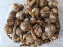 乔诚苏北新鲜农家山茨菇白慈姑茨菰燕尾草地栗芽菇时令蔬菜现挖 5斤 实拍图