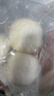 悦味纪 手工老面馒头640g*2包 12个 绿色食品 山东戗面千层馒头速食 实拍图