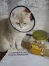 江小傲猫条营养流质鲜肉互动补水猫咪幼猫成猫湿粮猫泥拌粮猫零食 明虾配方【16支*4包】 实拍图
