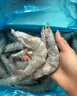鲜京采 厄瓜多尔白虾 净重3斤/盒 特大号20-30规格   30-45只/盒 实拍图