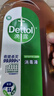 滴露（Dettol）消毒液消毒水1.2L衣物除菌液家居环境地板杀菌除螨 非84甲流感 实拍图