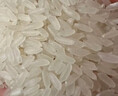 十月稻田 2025年新米 绿色食品 五常大米 10斤（香米 东北大米 5公斤） 实拍图