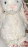 Jellycat害羞乳白色邦尼兔动物毛绒玩偶安抚玩偶娃娃新年生日礼物 花布乳白色邦尼兔（白芮） Medium 实拍图