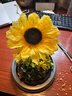 Para Ella向日葵永生花高级生日礼物女伴手礼品元旦新年年会跨年结婚纪念日 实拍图
