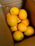 南步湖南道州脐橙 永州特产道县纽荷尔脐橙橙子果冻橙手剥橙新鲜水果 9斤 精选大果【单果75-90mm】 实拍图