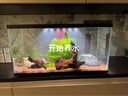 喜高超白玻璃鱼缸智能鱼缸免换水小型客厅水族箱一体式过滤氧气鱼缸 黑色-鱼缸标配 600*268*322mm 实拍图