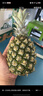 广东湛江徐闻菠萝 香水菠萝 热带水果 【活动期间合并发货】1个 净重1.3-2斤 实拍图
