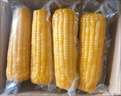 京鲜生 东北黄玉米260g*10棒 真空包装黏玉米棒粘玉米 源头直发 实拍图