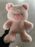 名创优品（MINISO）福莉丝猪系列-乖乖坐姿公仔毛绒玩具玩偶抱枕娃娃生日礼物女 实拍图