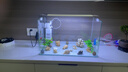 高清热弯浮法透明玻璃鱼缸客厅家用造景装饰生态中小型生态金鱼缸 热弯鱼缸-豪华升级套餐 长50*宽27*高30cm 实拍图