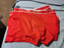 猫人本命年马年男士红内裤男纯色棉红裤衩喜庆礼盒装2内裤+2袜子3XL 实拍图