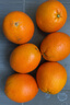 京喜加【双十一抢鲜】冰糖橙甜橙纯甜无酸水果 当季新鲜手剥橙现摘现发 带箱9斤 60-70mm彩箱礼箱 实拍图