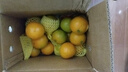 青舞正宗广东德庆皇帝柑贡柑新鲜水果精选大果非沃橙橘桔子装孕妇水果 10斤礼盒装精选大果（净9.2斤） 实拍图