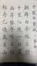 善琏湖笔临摹字帖宣纸练字中楷毛笔练字纸楷书描红初学者入门软笔练字帖毛笔纸成人作品纸练习纸书法纸 实拍图