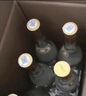 汾酒 黄盖玻汾 清香型白酒 53度 475mL*6瓶 整箱装非原箱 实拍图