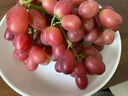 京觅四川无籽克伦生红提葡萄马奶新鲜水果水果无籽红提1.5斤 源头直发 实拍图