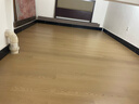 圣象PURE净味宠爱地板ENF无醛级抗菌除臭无缝超耐磨强化复合宠物推荐 NF5003可可熊包安装送辅料 实拍图