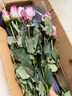 京东鲜花双11云南昆明基地随机色玫瑰买20枝送10枝配草配草鲜花源头直发 实拍图