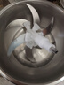 京严绞肉机家用电动绞馅机商用大容量碎肉打肉机婴儿辅食机多功能料理机搅馅搅菜搅肉机蒜泥肉沫搅拌机 旗舰款【6叶精钢刀+不锈钢】 大容量 5L 实拍图