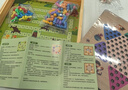 得力（deli）十二合一儿童游戏棋围棋象棋斗兽多功能儿童启智玩具礼物 实拍图