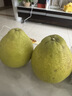 迭果合江真龙柚子四川泸州脆香甜柚子新鲜水果沙田柚清甜多汁不酸 5个中果9斤普通装 实拍图