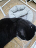 憨憨乐园 宠物猫窝狗窝M猫咪睡袋猫房子幼犬床秋冬大型泰迪四季垫子通用款 实拍图