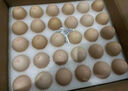 1号会员店富硒鲜鸡蛋30枚 源头直发 净重3斤 实拍图