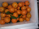 京地达广东砂糖橘新鲜水果净重5斤中小果35-45mm源头直发包邮 实拍图