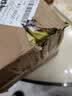 宠物湿巾猫咪狗狗专用湿巾纸免洗擦脚泪痕清洁用品湿纸巾60片 宠物清洁湿巾 8包 实拍图