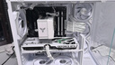 微星（MSI）白魔龙 GeForce RTX 5060 8G GAMING TRIO OC WHITE 电竞游戏设计智能学习独立显卡 实拍图