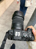 佳能（Canon）EOS RP 全画幅微单数码相机 24-105标准镜头套装 （约2620万像素/轻巧便携） 实拍图