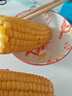 云南高原新鲜水果玉米起脆甜爆浆可生吃现采现发300g/棒营养早餐 水果玉米1.8-2斤含箱 实拍图