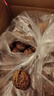 云南今年新货野生老树核桃纸皮薄皮孕妇黑桃薄壳干黑桃零食无漂 云南新货薄皮核桃5斤-老品种大果 实拍图