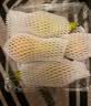 京鲜生荷兰啤梨4粒尝鲜装 软糯香甜 单果130g-170g 源头直发 一件包邮 实拍图